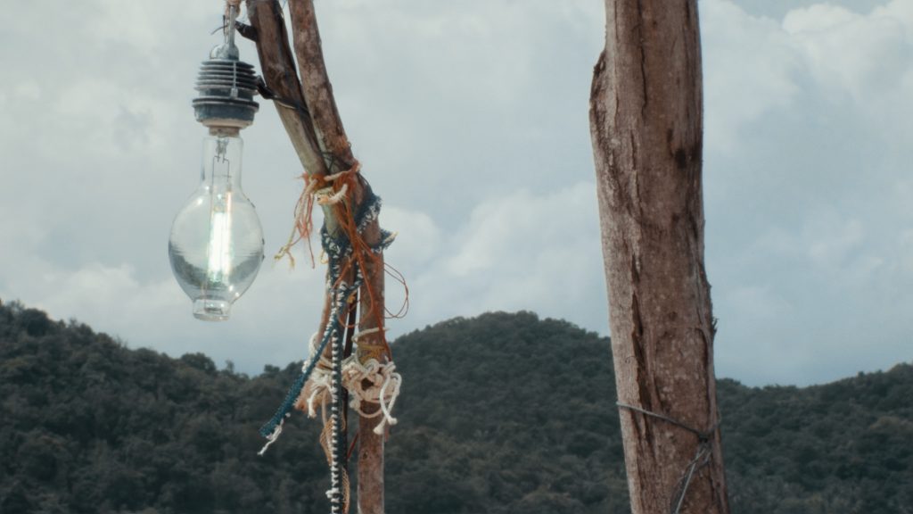 a lit light bulb in daylight is attached to thin vertical branches against green mountainous backgrounds