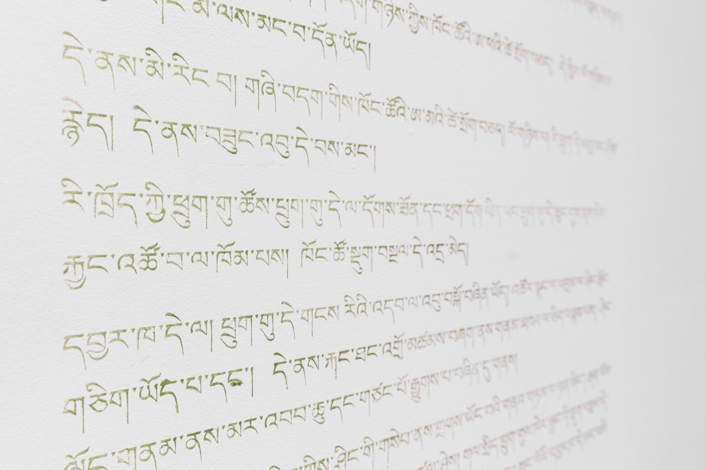 close up of the Tibetan text of the story, shown in green-ish grey, and hand-made quality and some mistakes in the details.