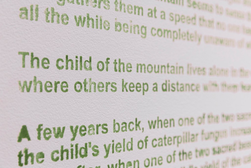 close up of the English text of the story, shown in a bright green, and hand-made quality and some mistakes in the details.