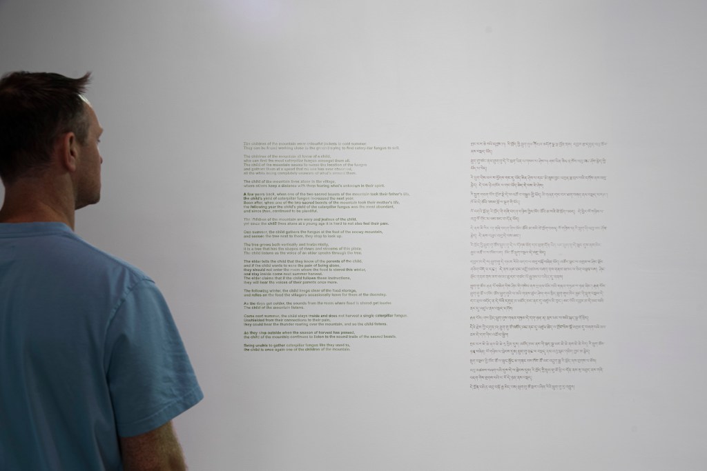 Installation overview of the work, with an audience member wearing blue t-shirt looking at it with some distance.