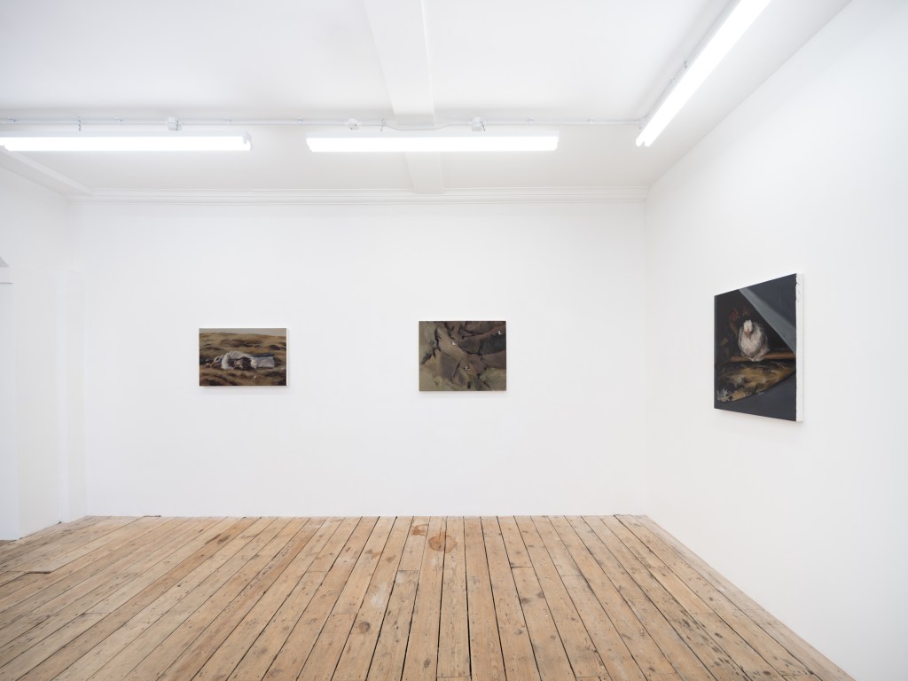 Installation view of the three paintings in a brightly lit room with wooden floor.