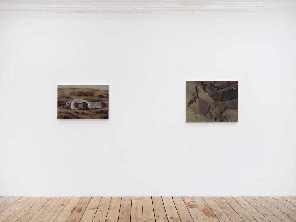 Installation view of Three Gulls and Three Fulmars in a brightly lit room with wooden floor.