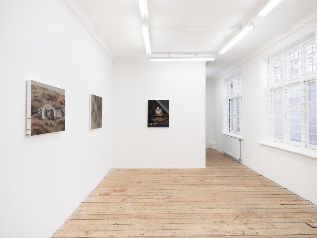 Installation view of the three paintings in a brightly lit room with wooden floor.