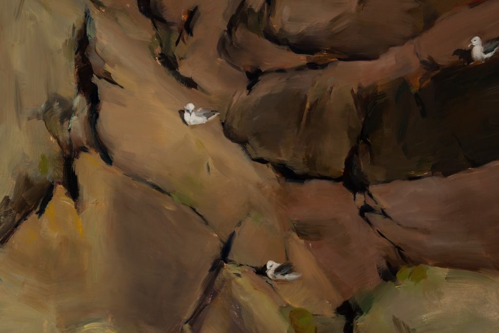 close up of an oil painting of three fulmars at cliff's edge